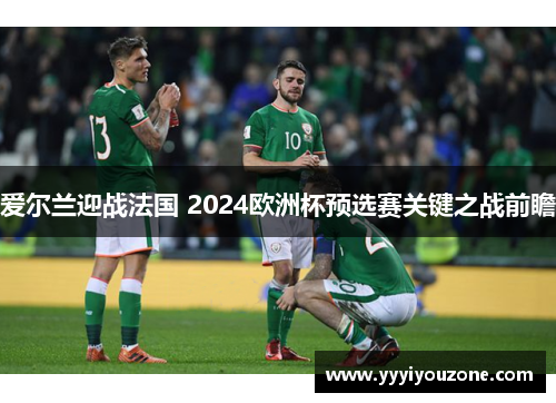 爱尔兰迎战法国 2024欧洲杯预选赛关键之战前瞻